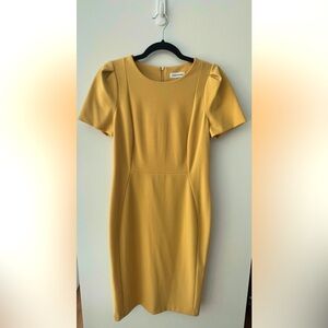 Calvin Klein - tulip dress - flattering knee length for office or wedding